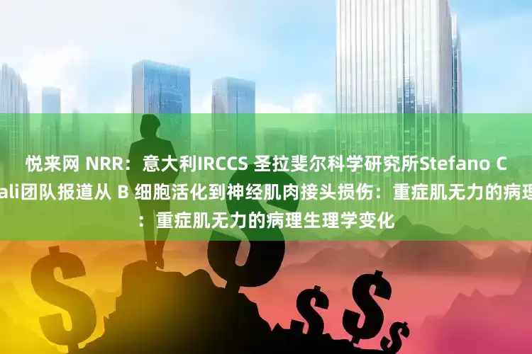 悦来网 NRR：意大利IRCCS 圣拉斐尔科学研究所Stefano Carlo Previtali团队报道从 B 细胞活化到神经肌肉接头损伤：重症肌无力的病理生理学变化